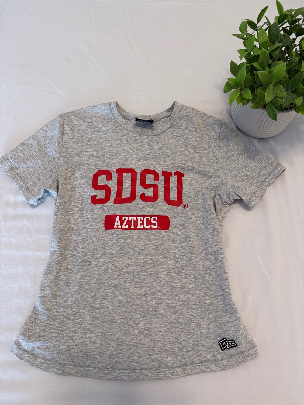 SDSU Aztecs Grey Tee with Red Logo